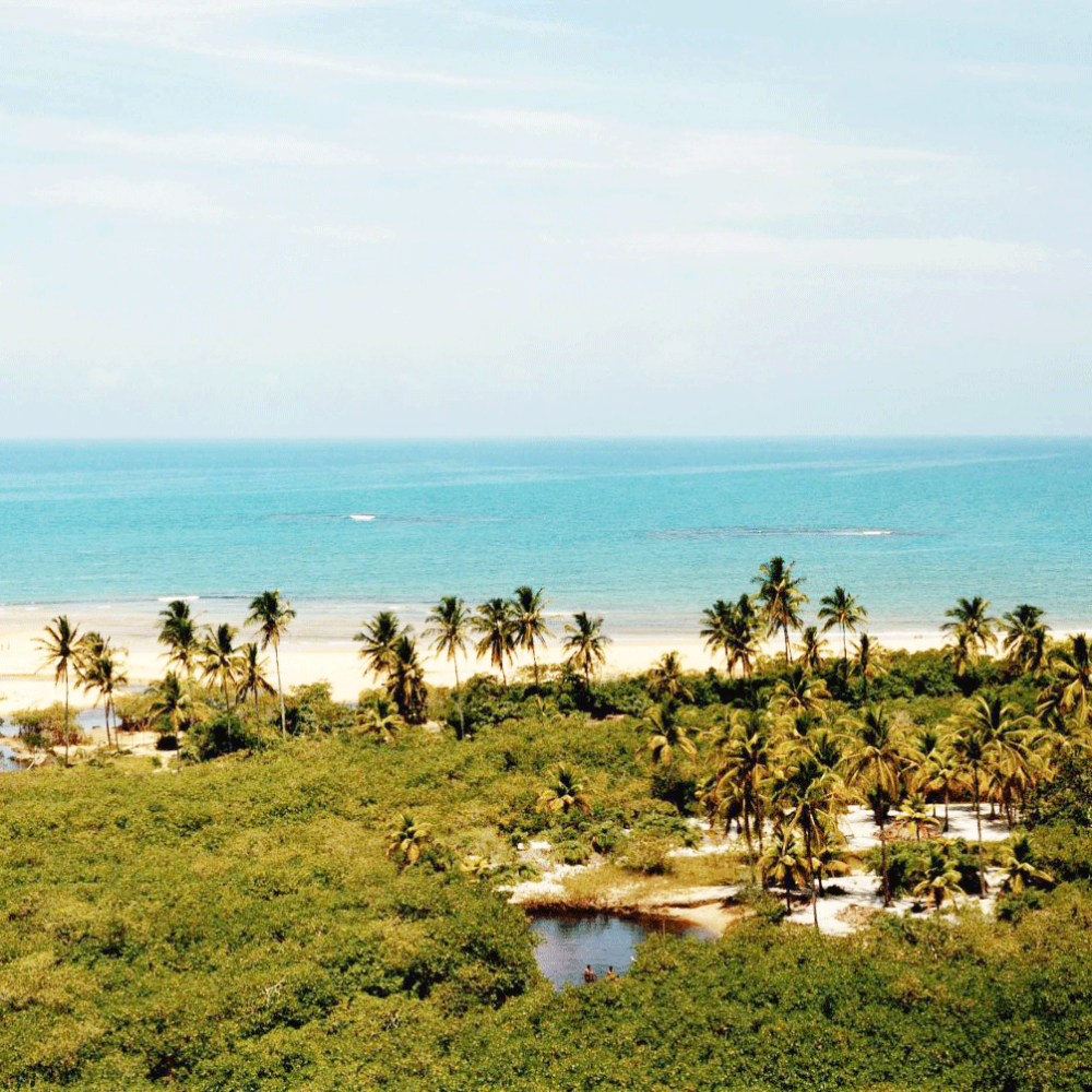 Trancoso: Your ultimate wellness and retreat destination in Brazil