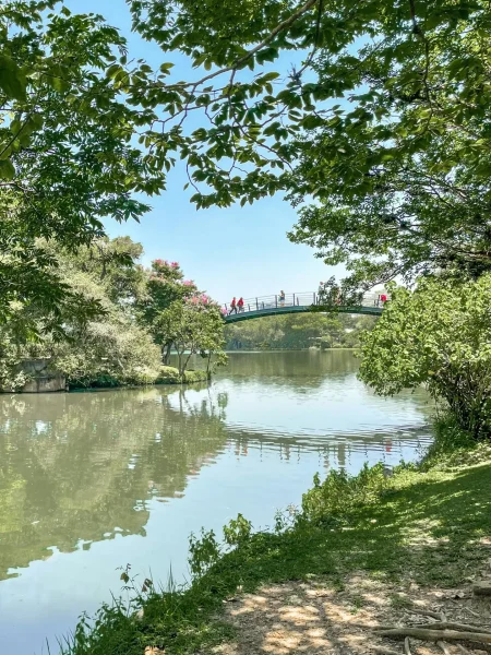 (3) GREEN SPACE